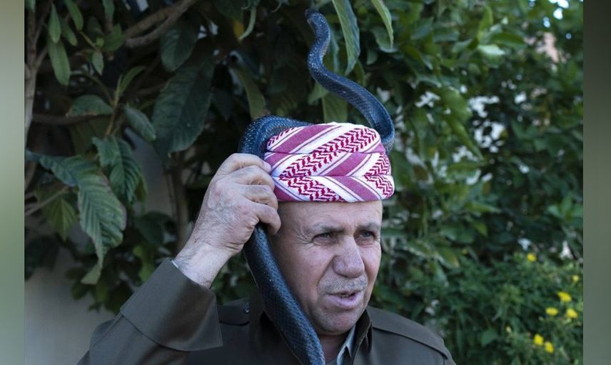 'Amacım yılanları ölümden kurtarmak'