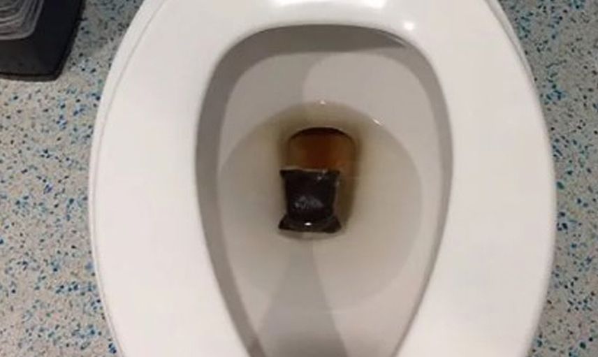 Klozet temizliği 