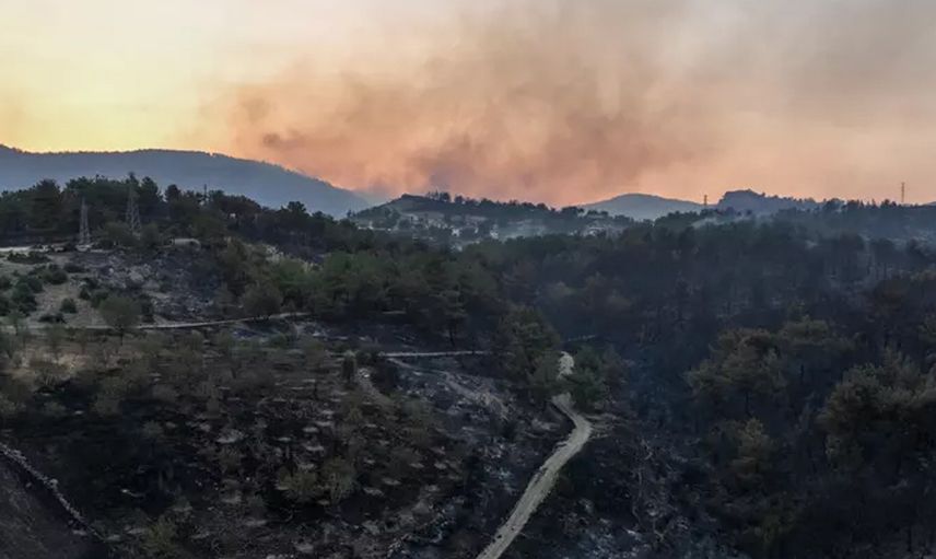 Çanakkale’de yangın devam ediyor: Felaketin boyutu gün ağarınca ortaya çıktı