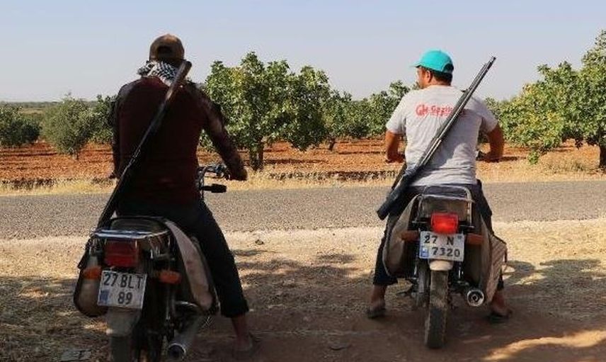 Antep Fıstığı İçin Tüfekle Nöbet Tutuyorlar