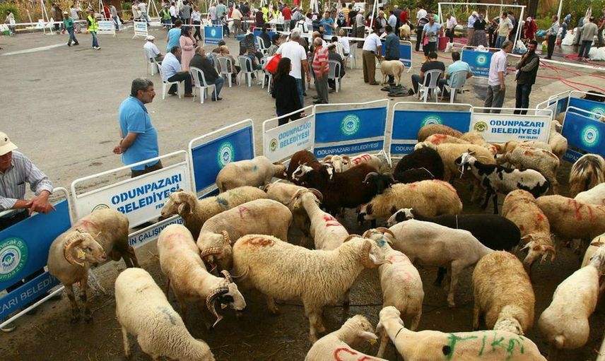 2021 Kurban Fiyatları Ne Kadar Oldu?