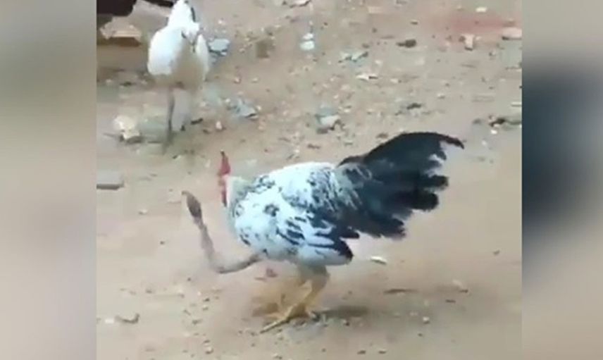 Denizli'de çekilen bu görüntüler çok korkutucu
