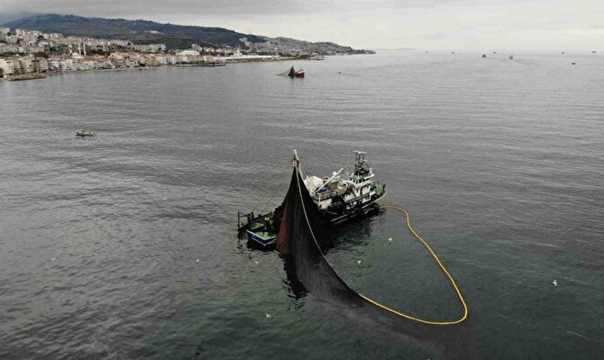 Böyle Bir Av Görülmedi! 40 Balıkçı Teknesi 40 Ton Hamsi Yakaladı