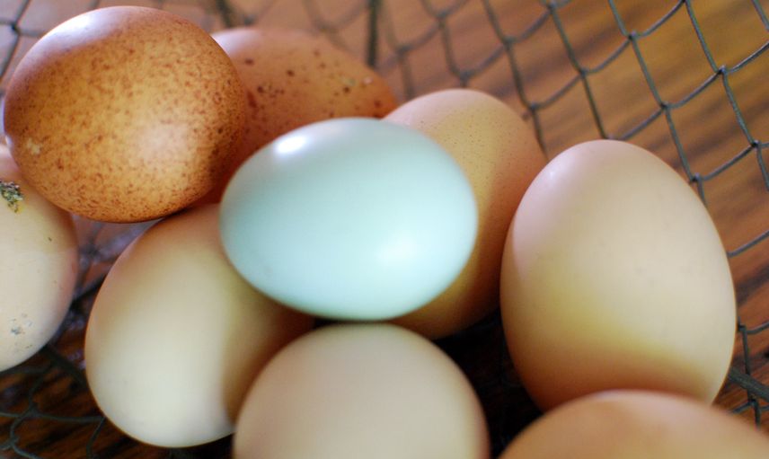Erkeklerde Üreme Hormonunu Artıran Yiyecekler