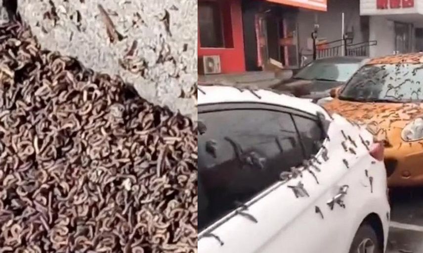 Dünya bu görüntüleri konuşuyor! Gökten yağmur gibi yağdı herkes kıyamet alameti olarak görüyor