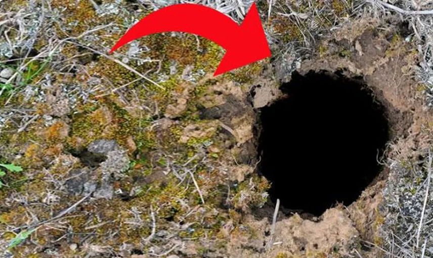 Dünyanın korkulu rüyası geri döndü! 12 dakika içinde 22 insanı öldürüyor