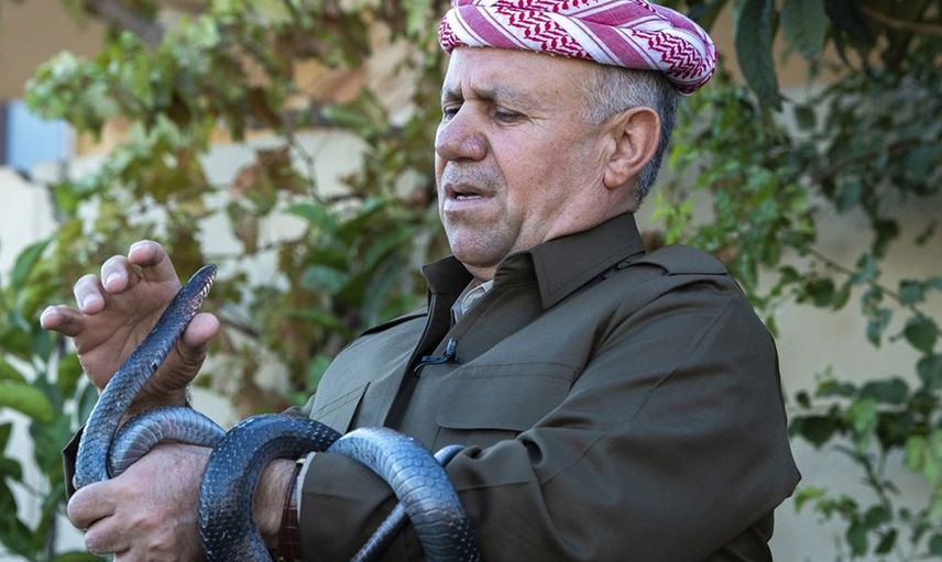 Duyanlar kulaklarına inanamıyor! 60 yılanla aynı evde yaşayan adamın itirafları herkesi şaşırttı!