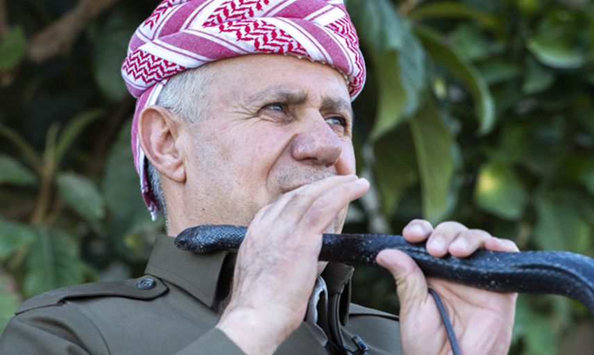 Yılanların beslenme düzeni