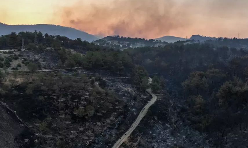Çanakkale'de son durum! Yangın havadan görüntülendi