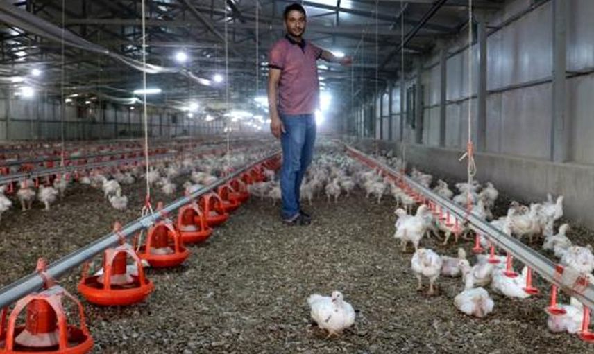 Elektrik Kesintisi Genç Girişimcinin 500 Bin Lirasına Mal Oldu
