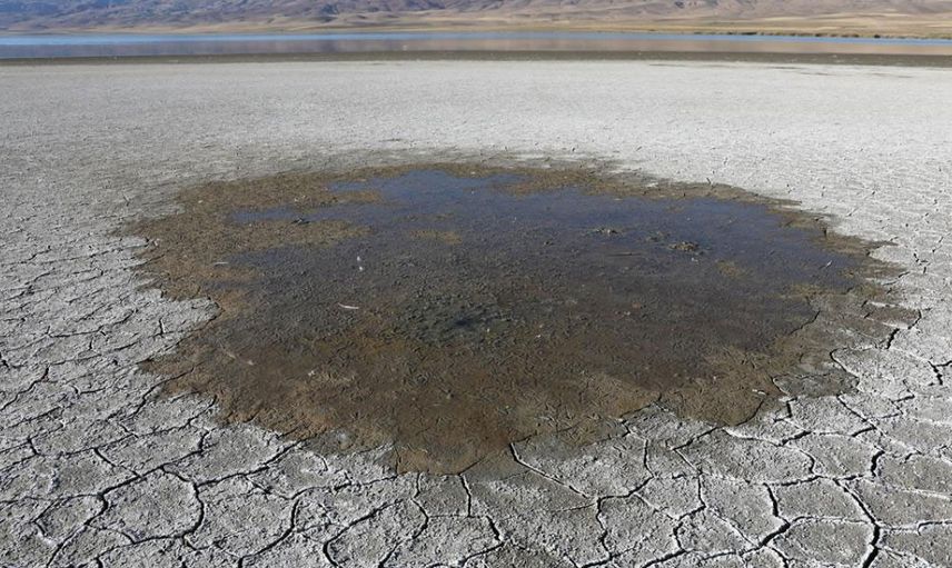 Van Gölü’nde Kuraklık Nedeniyle Yeni Adacıklar Ortaya Çıktı