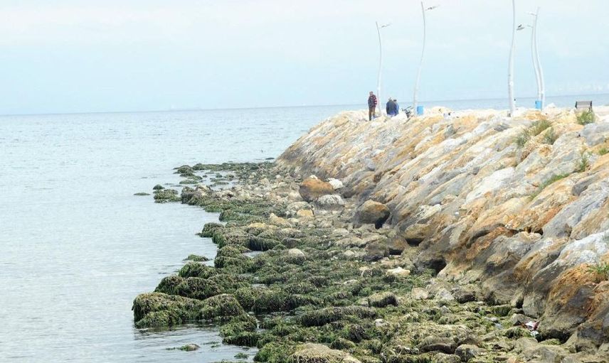 Marmara Denizi'ndeki Çekilmeler Deprem Belirtisi mi?