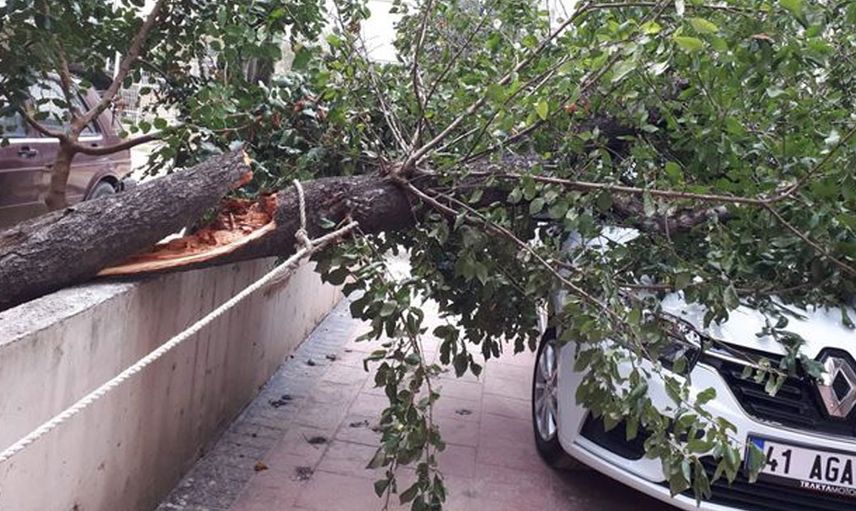 Lodosun Etkili Olduğu Bölgelerden Olağanüstü Görüntüler!