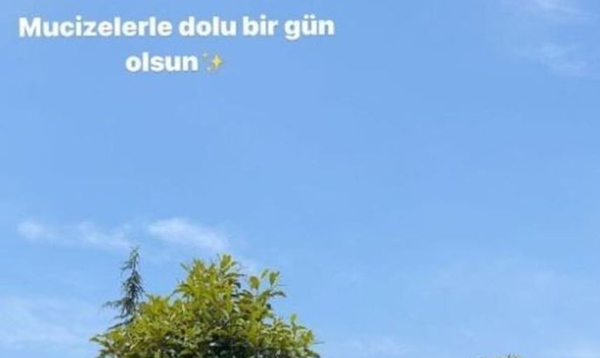 Alişan'ın Acı Günü! Yoğun Bakıma Kaldırıldı...