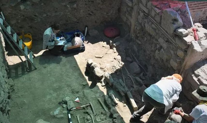 Kazı başkanı anlattı