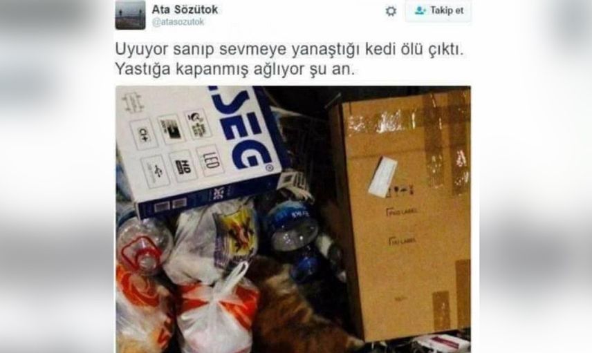 Bu paylaşımlar gülme krizine soktu