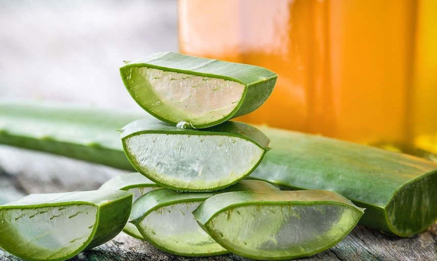 Aloe Vera ve Elma Sirkesi Antibiyotik Etkisine Sahiptir
