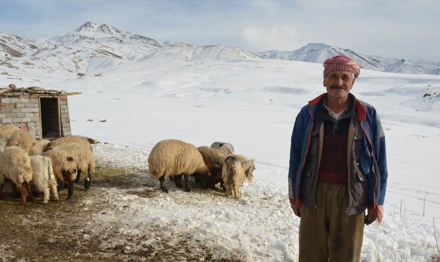 4 Yıldır Şehirden Uzak Yaylada Hayatını Sürdürüyor