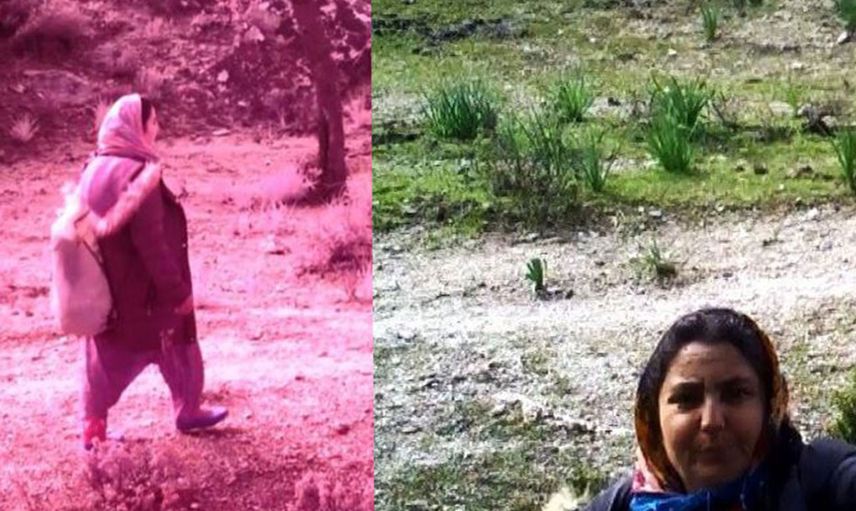 Fotokapana Yakalandı Kimse Yaptığına Anlam Veremedi!
