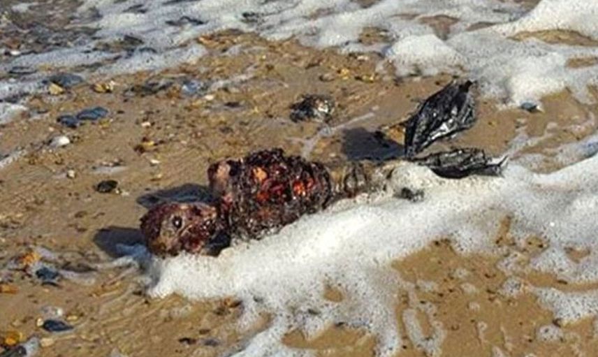 Deniz kızı cesedi kıyıya vurdu, halk ayağa kalktı!