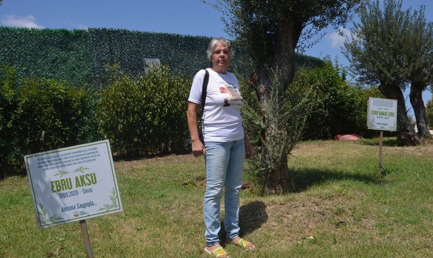 Avcılar'da Öldürülen Kadınların Anısını Dikilen Zeytin Ağaçlarının Tabelaları Çalındı