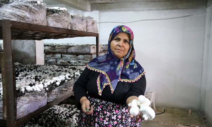 Hatay'da İzledikleri Belgeselden Etkilenen Gelin Kaynana Zengin Oldu!