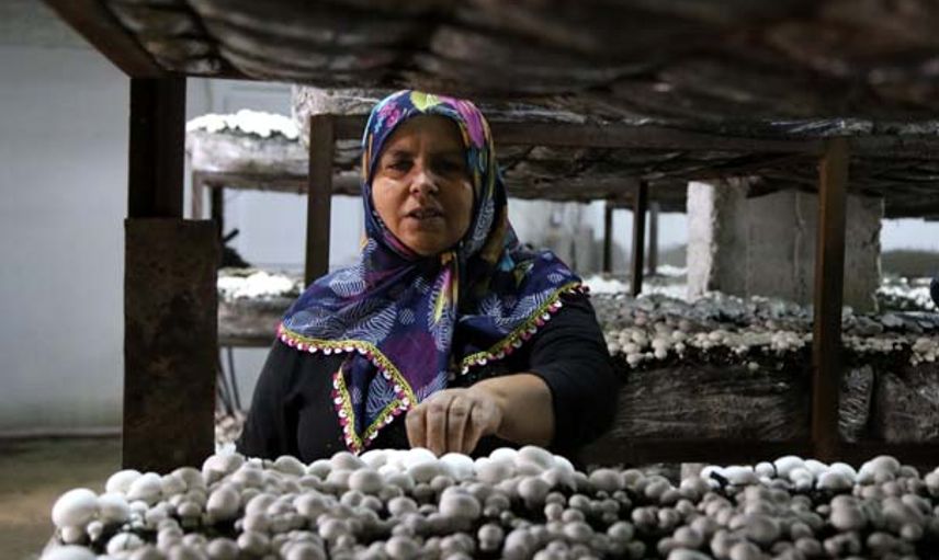 Hatay'da İzledikleri Belgeselden Etkilenen Gelin Kaynana Zengin Oldu!