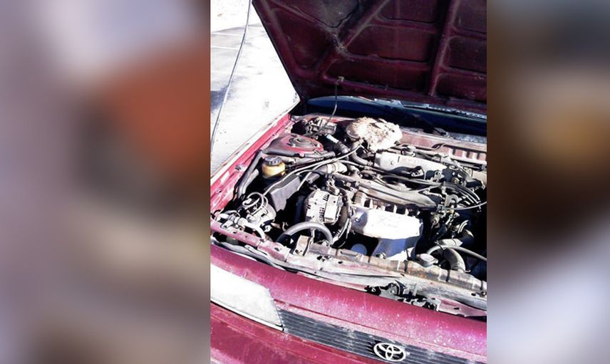 Motordan ses geliyor diye kenara çekti... kaputu açtığında şok olup bayıldı!
