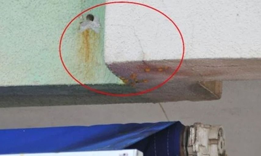Görüntüleri daha da ürkütücü! Yeni taşındıkları evin duvarlarından kan sızdığını gören aile panik oldu