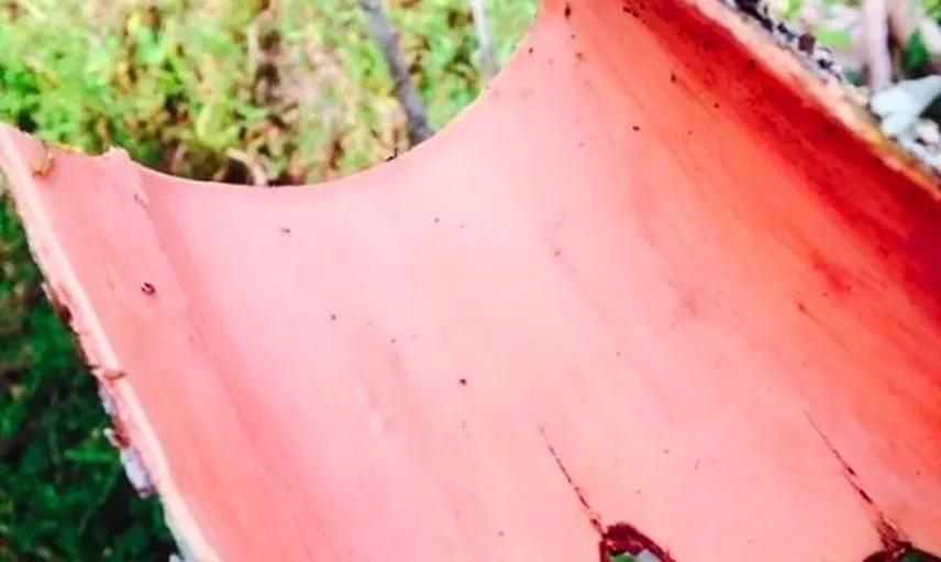 Günlük Hayatta Kullandığımız Nesnelerin İçleri