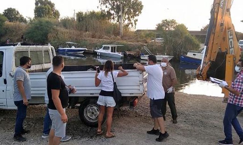 Muğla’da Nesli Tükenme Tehlikesi Olan Ölü Foka Otopsi Yapılacak