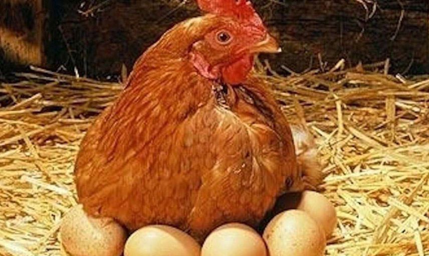 Öğrendiğinizde İnanamayacağınız Bilgiler