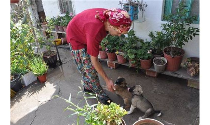 Köye 12 Yıl Sonra Öyle Bir Halde Döndü ki... Köylülerin Ağzı Açık Kaldı!