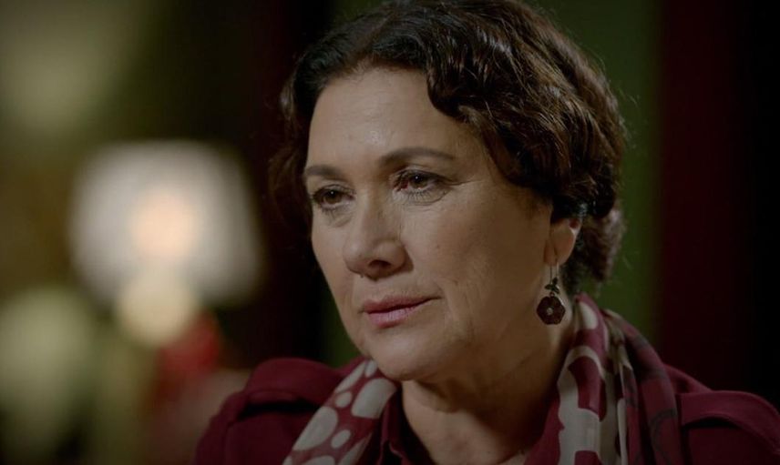 Hülya Darcan Kimdir? 
