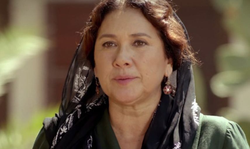 Hülya Darcan Kimdir? 