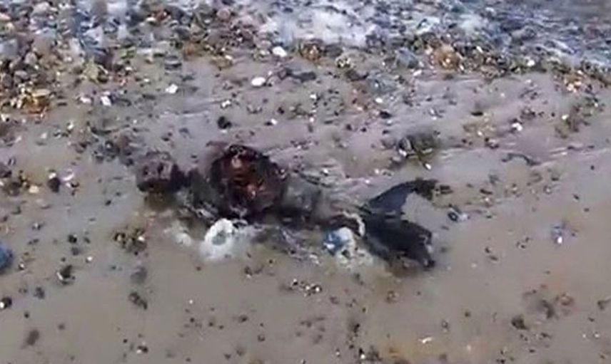 Deniz kızı cesedi kıyıya vurdu, halk ayağa kalktı!