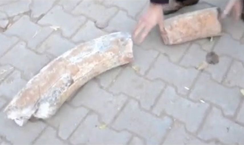 Nevşehir'de tarla sürerken buldu, parçaları birleştirdiğinde ne olduğu ortaya çıktı! Tam 1700 yıllık! 