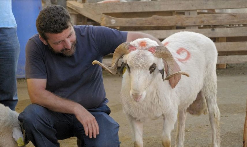 Kurban Kesmek Farz mı, Vacip mi, Sünnet mi?