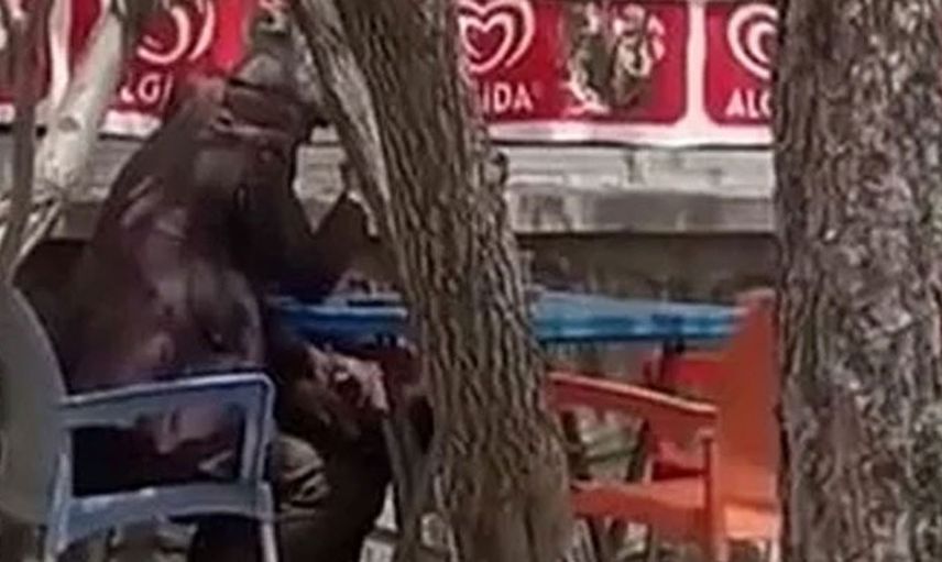 İnsanlar çıldırdı! Bebek ve Ümraniye’den sonra bir skandal da Ağrı’dan geldi dedeler…