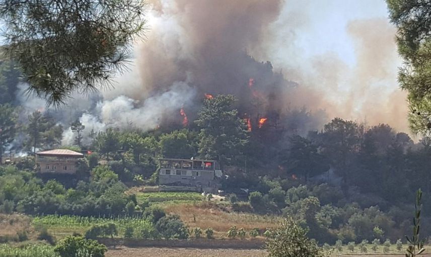 Yapılan Araştırma Sonucunda Yangınların Koronavirüsü Arttırdığı Ortaya Çıktı