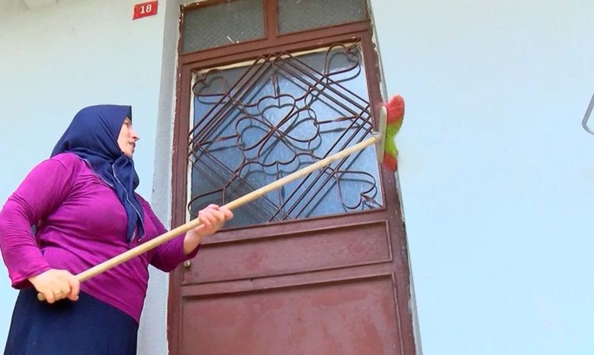 İstanbul’da Tırtıl İstilası Yaşanıyor, Tırtıllar Meyve Ağaçlarını Kuruttu