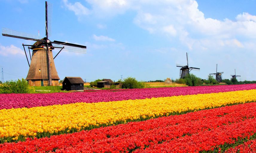 6. HOLLANDA
