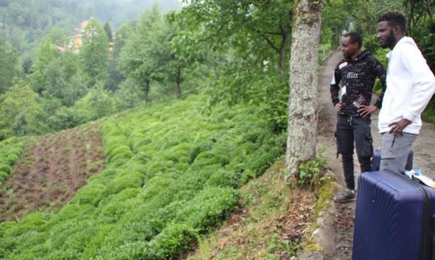 Rize'de Afrikalılar Futbolcu Olma Hayaliyle Gelip Mevsimlik İşçi Oldu