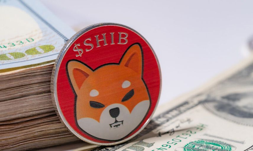 SHIBA INU 
