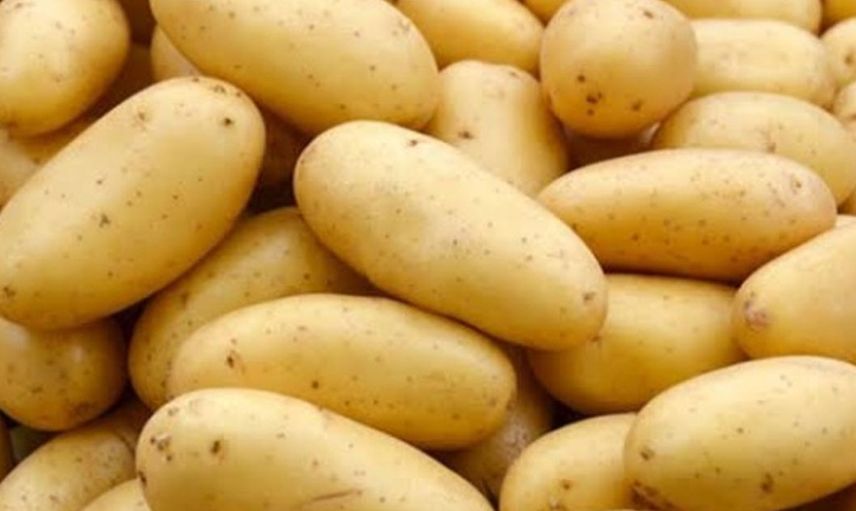 Patates