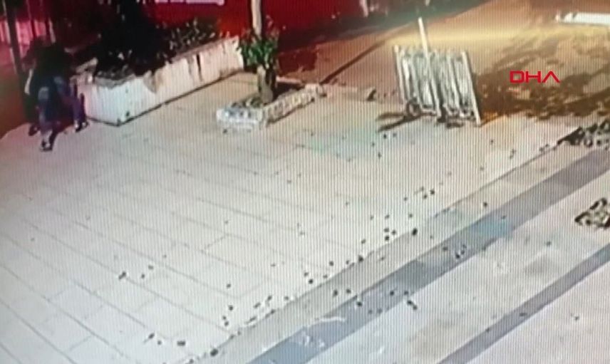 Üsküdar'da Kediyi İşkence Ederek Öldüren Şahıs Tutuklandı