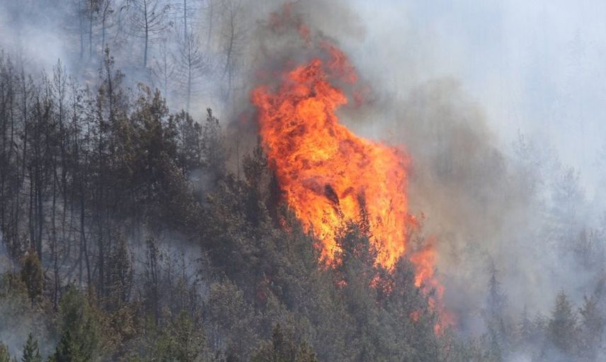 Son Dakika! Muğla'da Yangın: Evler Tahliye Ediliyor