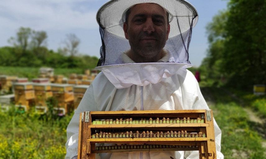 Bursa'da Arı Sütünün Kilosu 8 Bin TL'den Satılıyor