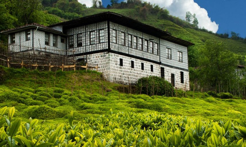 Rize