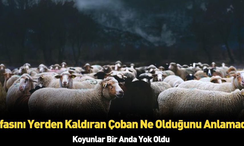 Kaşla göz arasında koyun sürüsü telef oldu çoban olanlara anlam veremedi hayatının şokunu yaşadı